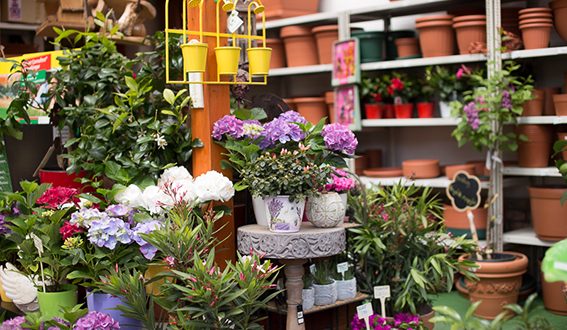 Itt a tavasz, vásároljon kertészeti webáruházban!