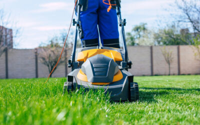 Milyen hibák esetén érdemes az elektromos fűnyíró javítást profira bízni?