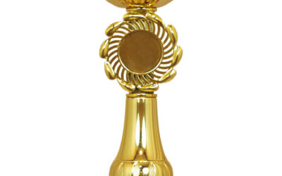 Anyag, forma, méret, aktualitások harmóniája – Hogyan válasszon serleget?