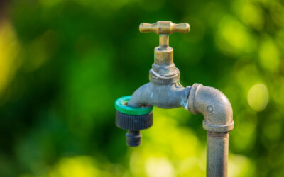 Vízi függetlenség a kertben – Hogyan építhet ki hatékony öntözőrendszert?
