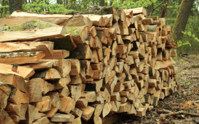 Ne várja meg a tavaszt! – Miért spórolhat, ha év elején rendel tűzifát?