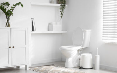 Wc csésze rendelési útmutató – Hogyan spórolhat sokat egy jó döntéssel?